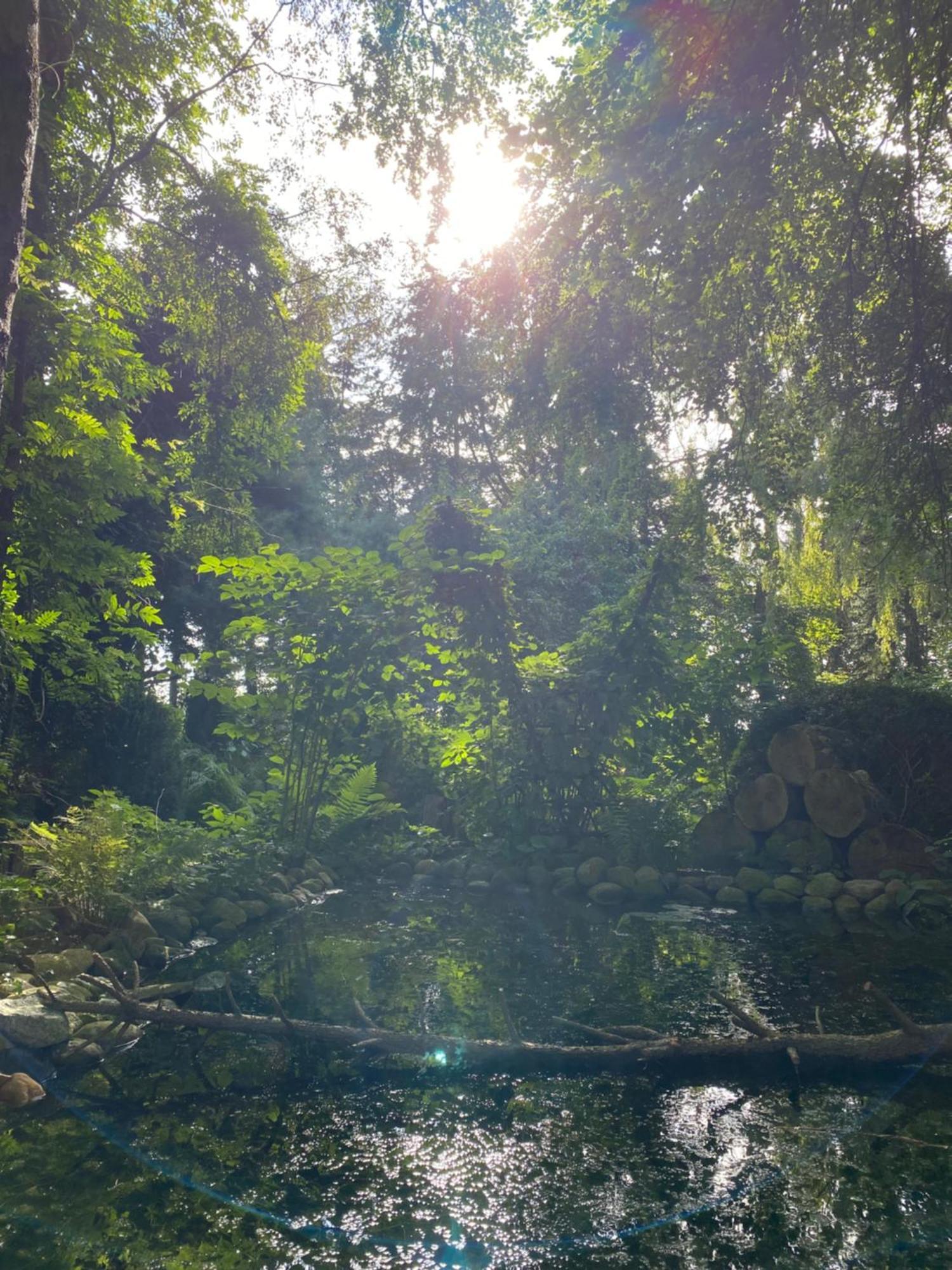 Ferienwohnung Auf Einem Resthof Zentral Gelegen Mit Viel Natur Und Tieren Rendswuhren Exteriér fotografie